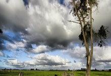 曼城主帅赞誉球队表现，大胜取得联赛领先