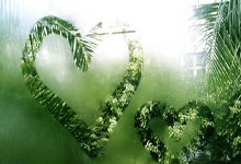 水晶宫主场重整旗鼓，力争反弹冲超残局