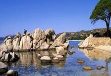 大连鞍山主场大胜，球队欢呼胜利